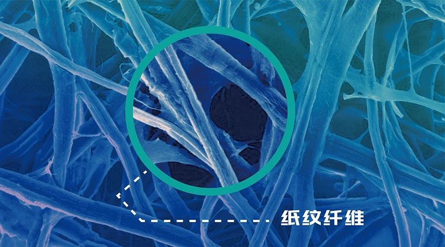 紙紋：第七代防偽技術(shù)亮相第十三屆證卡票簽安全防偽展覽會(huì )