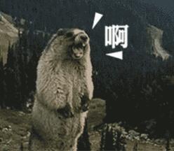 這項技術(shù)2017VS2019,有點(diǎn)厲害! 這項技術(shù)2017VS2019,有點(diǎn)厲害!